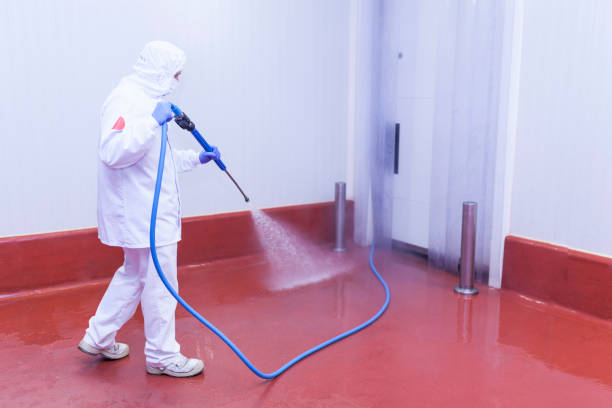 Best Graffiti Removal  in Silver Lake, FL