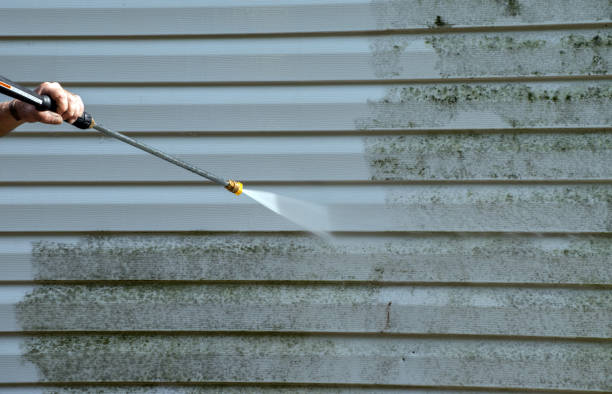 Animal Enclosure Cleaning in Silver Lake, FL