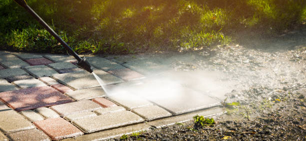 Best Roof Washing  in Silver Lake, FL
